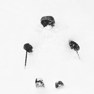 Meet your Posher, Niko